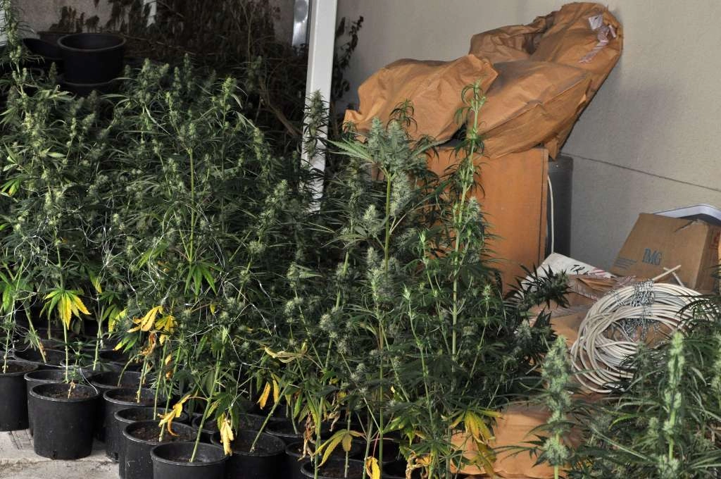 U pretresu kuće u Neumu pronađena droga